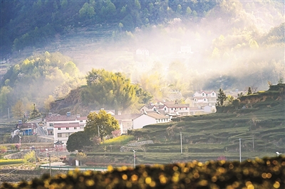 春日茶园（侨乡新貌）