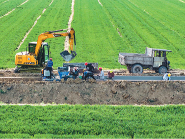 中国这样加快农业强国建设