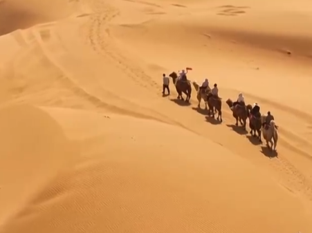 数据看出游 | 透过数据看“五一”假期文旅市场热力十足