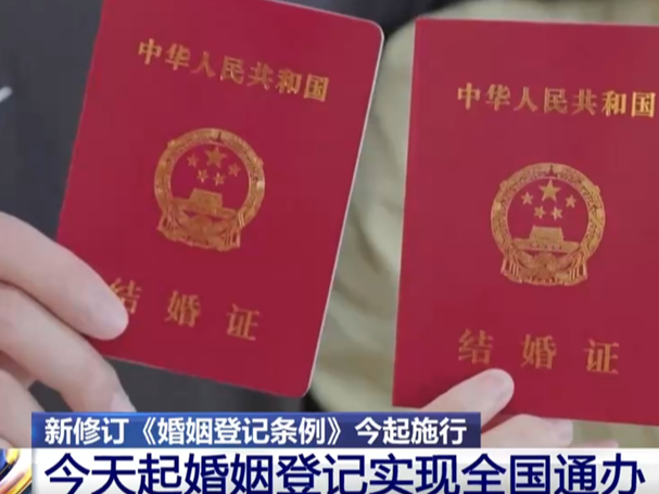 政策“组合拳”持续稳健有效 中国高质量发展“枝繁叶茂”