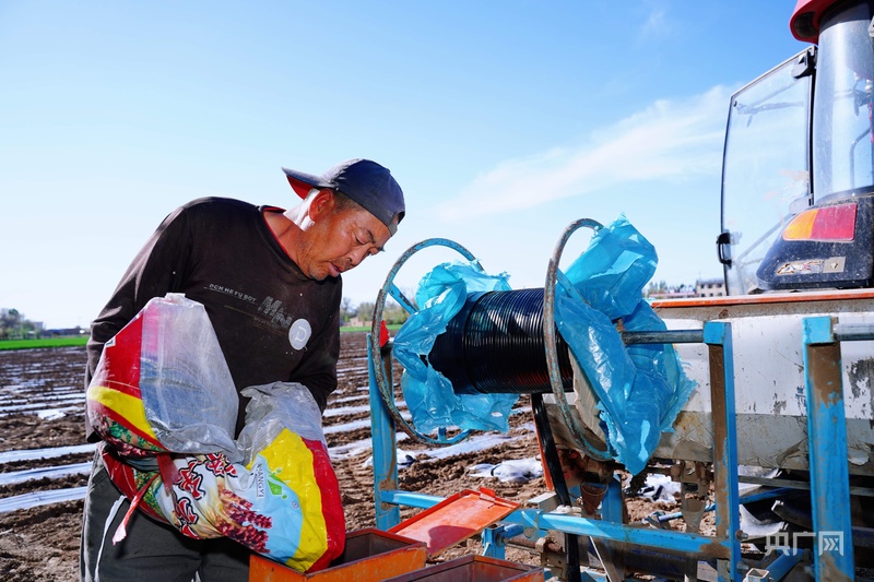 乡村振兴“新”面貌丨“订单”高粱种植忙 助农增收好“钱”景