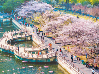 不负好春光 深度游一场