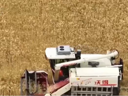 农业生产有“智”又有“质” 硬核科技夯实丰收基础 开辟增产节本新途径