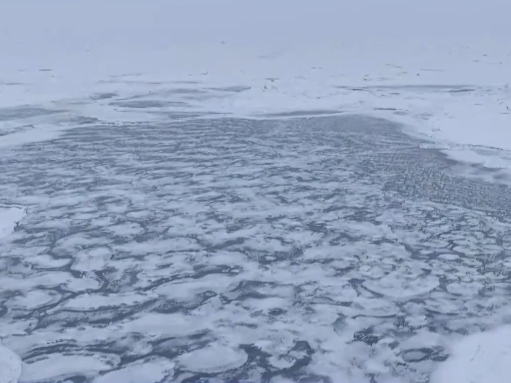 涉及海冰研究、海洋生物等 我国南极科考有了新发现