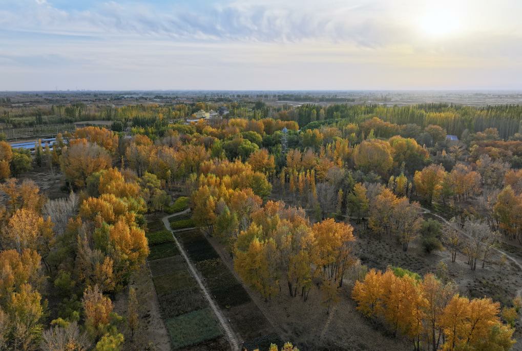 巴西环境和气候变化部部长：“全球南方”国家可以为加强气候多边主义作出重大贡献