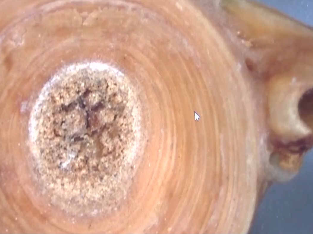 看科技考古如何还原“世界屋脊”西藏玛不错先民生活