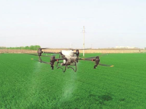 外媒：巴西加强与中国的农业合作关系