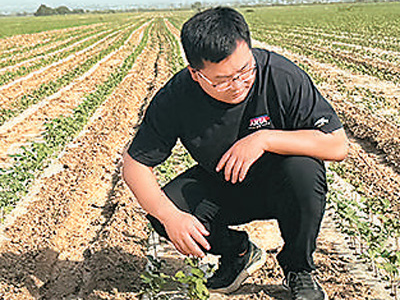 为共建“一带一路”贡献青春力量