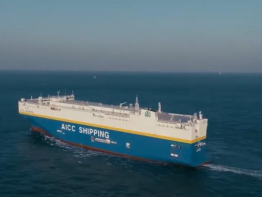 从“借船出海”到“造船远航”：中国车企“走出去” 运力自主可控