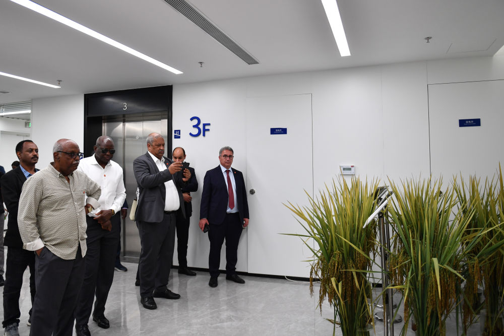 新华鲜报｜非洲50国驻华外交官走进湖南：中非合作会越来越好！