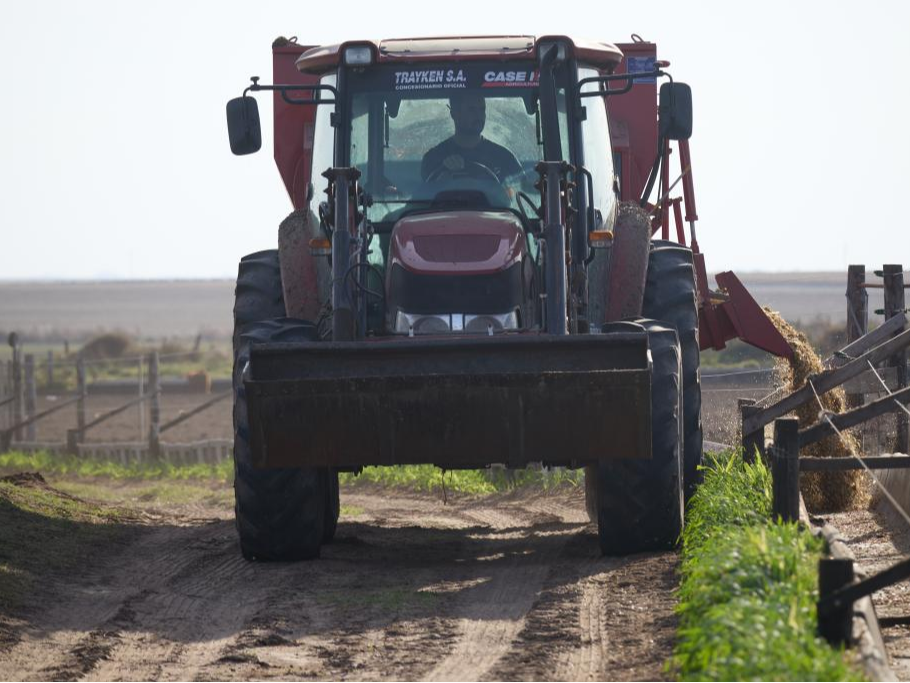 通讯丨转向充满机遇的中国市场——阿根廷牧场推进出口多元化应对美关税冲击