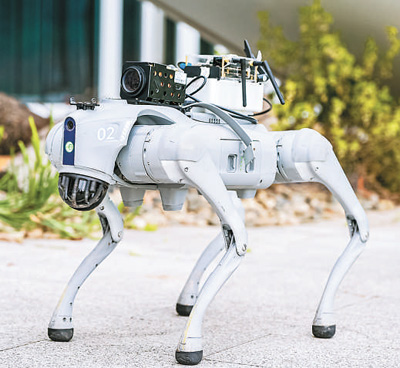 立足大湾区，为AI时代育人