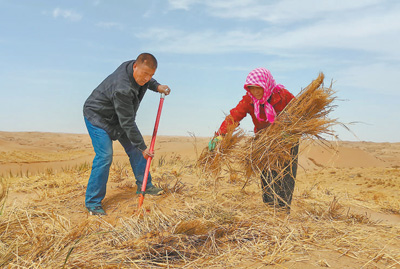 一家人种出万亩绿（守望）