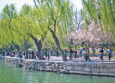 来公园，20分钟感受自然“疗愈”（美丽中国·身边的生态获得感①）