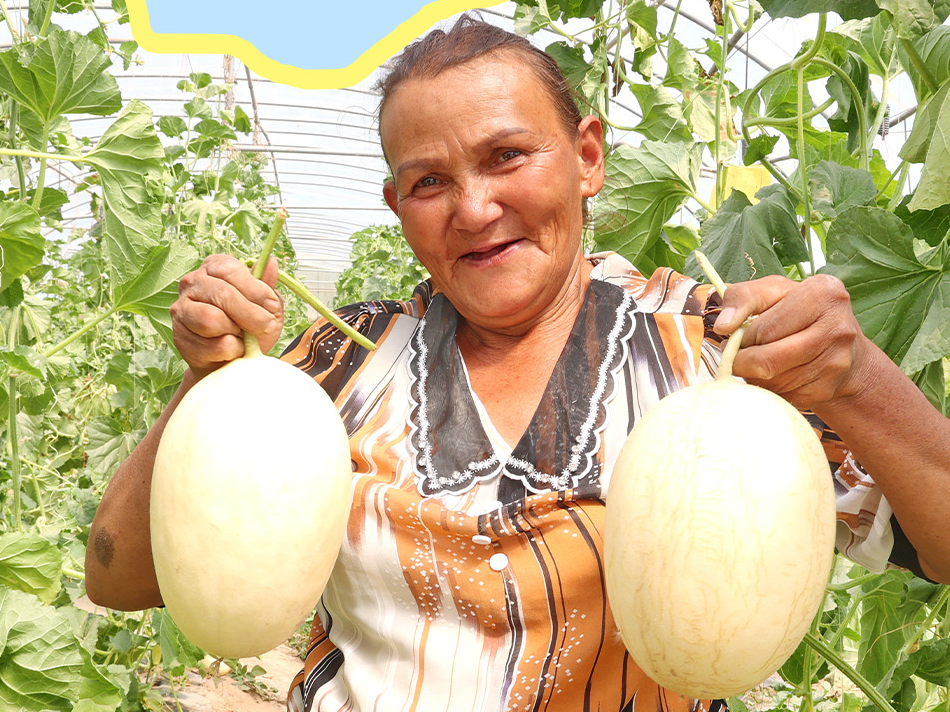 我的家乡dǎi得很