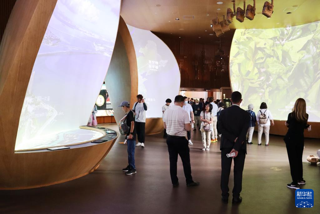 记者手记｜在大阪世博会感受多彩中国