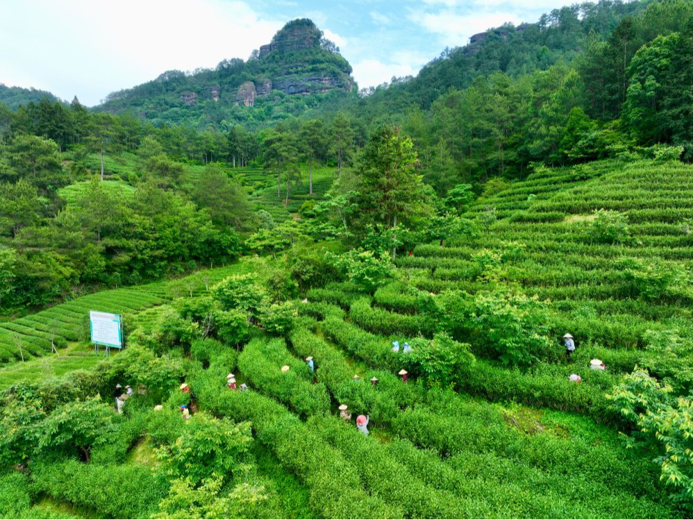何以中国｜光青蛙就有30多种！这个地方说的是哪里？
