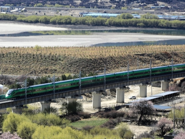 恰乘春风浩荡时——写在西藏和平解放74周年之际
