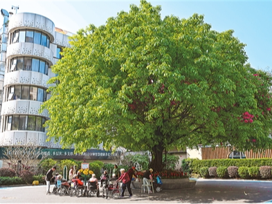 大湾区跨境养老渐成趋势