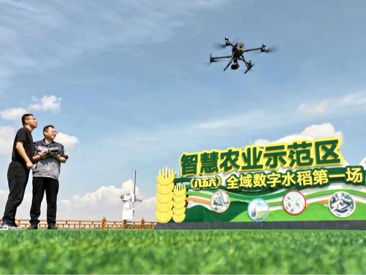 科技赋能解锁插秧“新姿势”