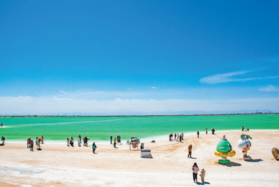 一滴卤水里的绿色转型（美丽中国）