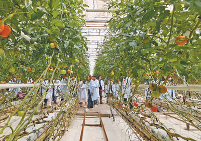 感受新疆经济社会发展的蓬勃活力