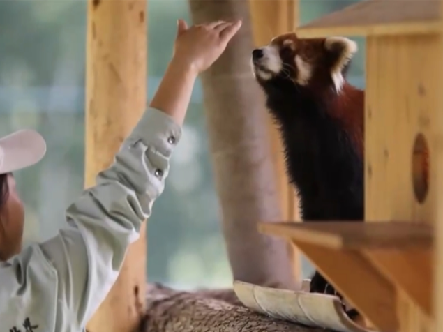 “生态游”“乡村游”“研学游”……文旅市场“百花齐放” 开启沉浸式新体验