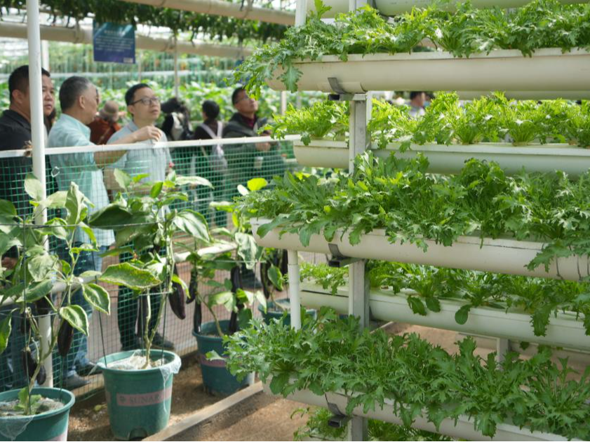 Hi财经丨因地制宜发展“农业新质生产力”