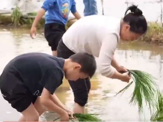 多地以文促旅出新招 “文旅+”新玩法点亮“假日经济”