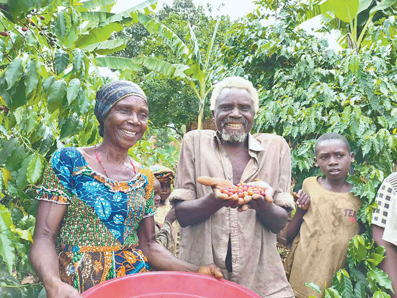 “借助中国大市场，布隆迪咖啡产业的未来充满希望”（国际视点）