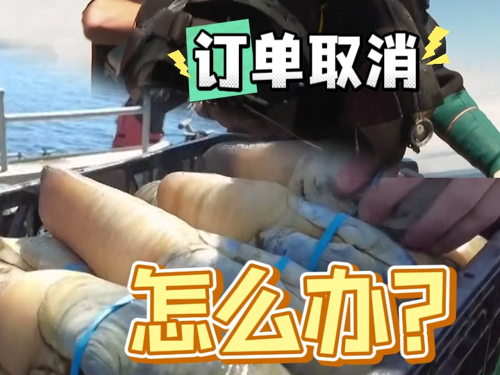 视频丨整个停摆！美关税“回旋镖”又击中这一市场