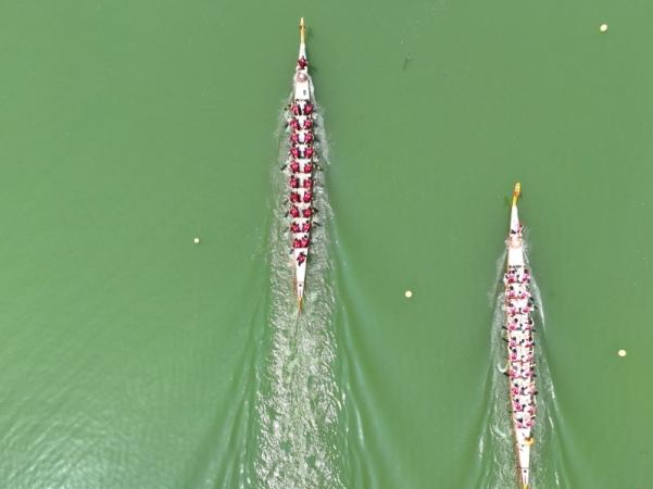 龙舟竞渡越重洋 看老外如何划出“中国节奏”！