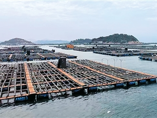 这里的生鲜贸易为何“跑得快”