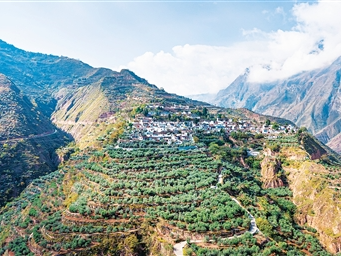 书写“液体黄金”的产业发展故事（尝尝“中国新特产”）