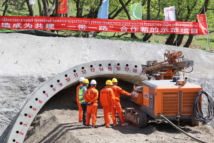 海外网评：这棵“石榴树”，见证中国中亚命运与共