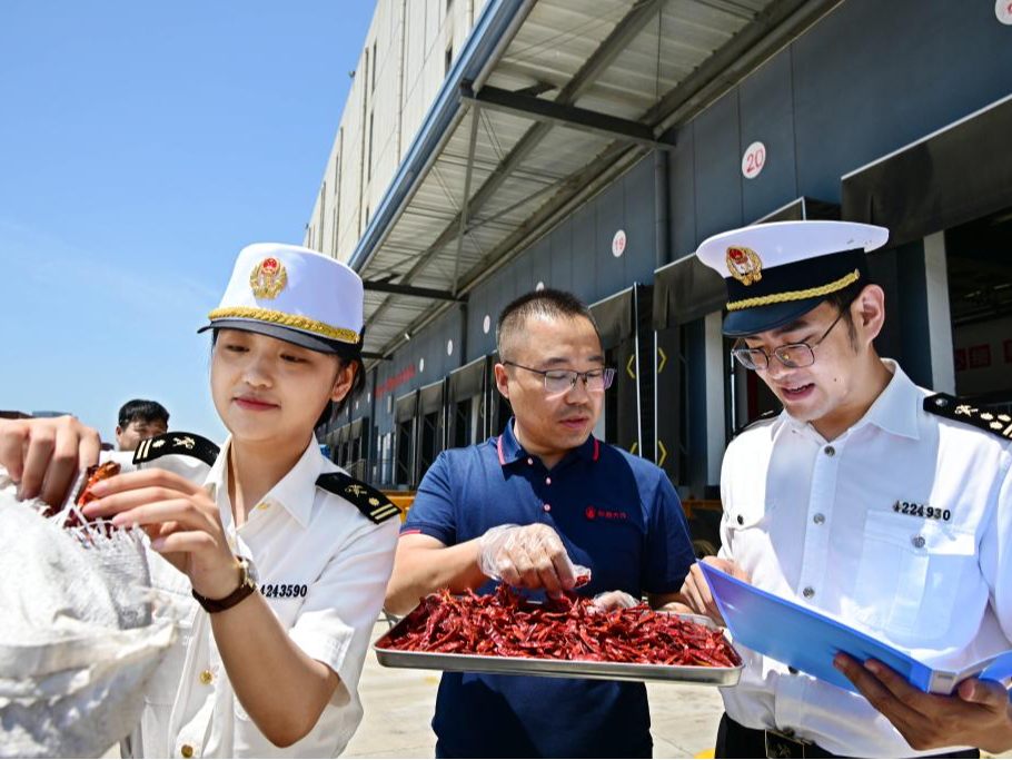 特稿｜从零关税赋能到合作模式创新　中非经贸合作谱新篇