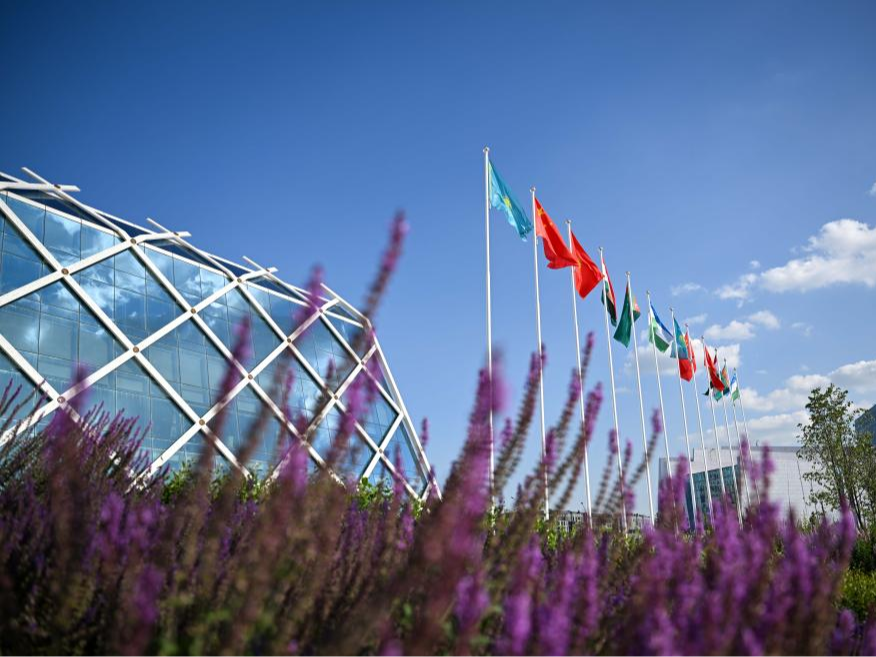 Hi财经丨中国与中亚合作前景广阔