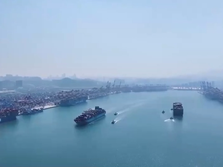 一线调研丨从4小时到20分钟 青岛港科技升级货物“秒通关”