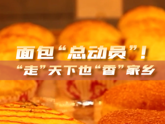 中国经济样本观察·一“业”成名丨面包“总动员”！“走”天下也“香”家乡