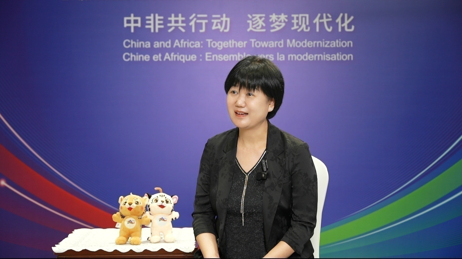 中非合作机制中的“湖南创新”  ——访湖南省商务厅副厅长郭宁