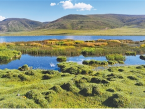 爱鸟护鸟，这些保护区在坚守（美丽中国·开展鸟类保护行动）