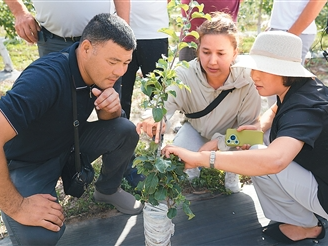 中国中亚合作之路越走越宽广（环球热点）