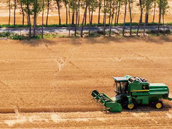 平头村里麦收记