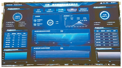 “一朵云”，托起万朵菌