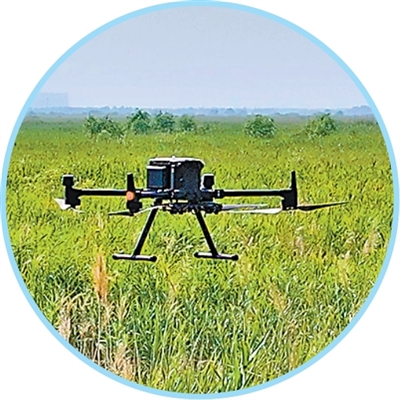 爱鸟护鸟，这些科技手段在助力（美丽中国·开展鸟类保护行动）