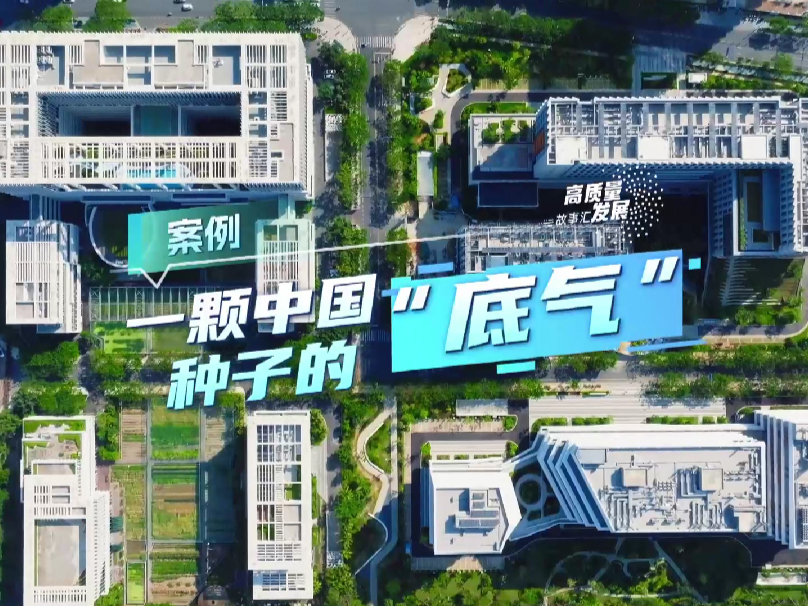 高质量发展故事汇丨一颗中国种子的“底气”