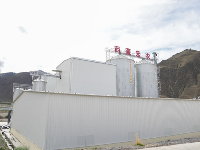 中国经济样本观察·企业样本篇｜西藏宏农的“高原养鸡记”