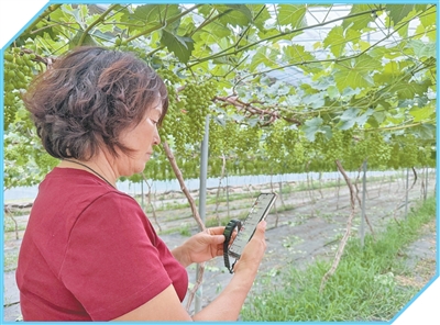 瞧！咱老乡消费也挺“潮”（经济新方位·农村消费观察）