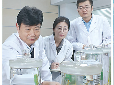 一粒新型复合肥的田间突围（科技视点·看科技成果如何“变身”新质生产力）