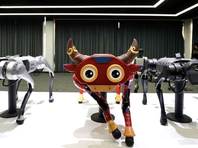 白俄罗斯积极借鉴中国创新经验